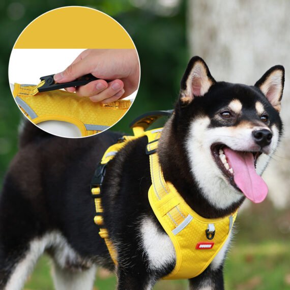 Easy Walk Dog Harness