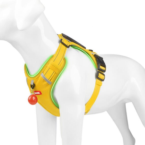 Easy Walk Dog Harness