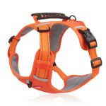 Easy Walk Dog Harness