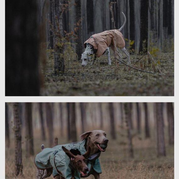 Outdoor Soft Shell Waterproof Windproof Warm Dog Soft Shell Jacket