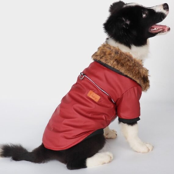 Dog clothes leather jacket