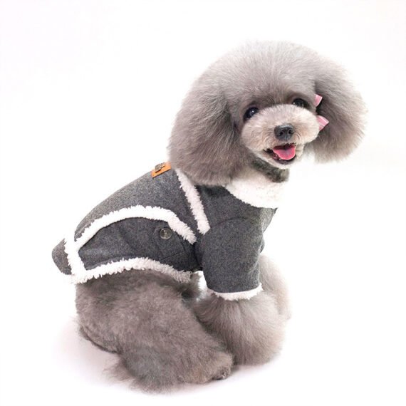 Pet Two-leg Fleece-lined Personalized Warm Keeping Dog Clothes