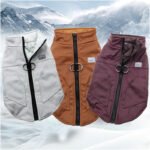 Teddy Jacket Small And Medium-sized Dog Thickened Autumn And Winter Warm Vest